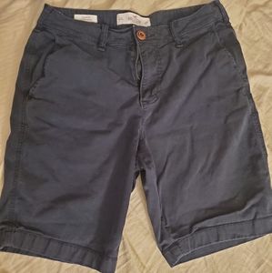 Navy Classic Fit Hollister Shorts
